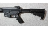 Smith & Wesson ~ M&P 15-22 Sport ~ .22 LR - 5 of 9