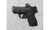 Smith & Wesson ~ M&P 9 Shield Plus ~ 9mm Luger - 2 of 3