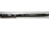 Beretta ~ A391 Xtrema 2 ~ 12 Gauge - 9 of 11