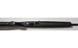 Remington ~ 597 Magnum ~ .22 WMR - 7 of 9