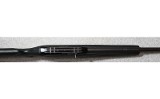 Remington ~ 597 Magnum ~ .22 WMR - 8 of 9