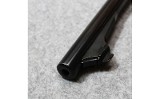 Remington ~ 700 ~ .243 Winchester - 11 of 11