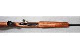 Remington ~ 700 Varmint ~ 6mm Remington - 9 of 11