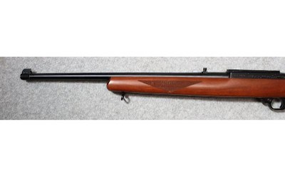 Ruger ~ 10/22 ~ .22 LR - Image 6 of 9