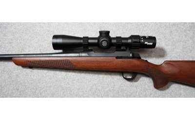 Browning ~ A-Bolt ~ .243 Winchester - Image 7 of 11
