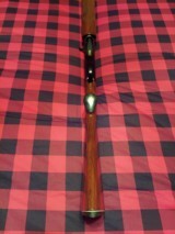 Remington 1100 20ga Standard Weight - 7 of 10