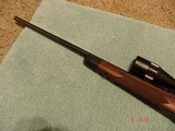 Winchester Model 70 Super Grade .243 caliber - 4 of 7