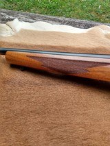 Ruger 77/22 Magnum - 14 of 14