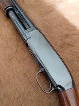 Winchester Model 12 Heavy Duck - 12 of 13
