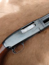 Winchester Model 12 Heavy Duck - 3 of 13