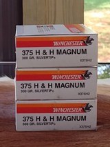 .375 H&H Magnum. 300 gr. Silvertip - 2 of 4