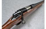 Remington 700 .300 Savage, Wood Stock - 5 of 9