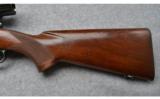 Winchester pre-'64 Model 70 .270 WCF - 7 of 8