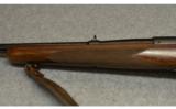 Winchester Pre-64 Model 70 .270 Win - 6 of 8