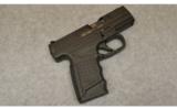 Walther PPS 9mm - 1 of 2