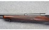 Winchester Model 70 Pre-1964 - 6 of 9