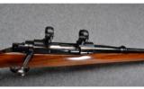 Pre-64 Winchester Model 70 .257 Roberts - 8 of 8
