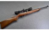 Ruger 10/22 in .22 Win Mag - 1 of 8