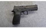 SIg Sauer ~ P250 OEF Ltd. Edition ~ .45 ACP - 1 of 5