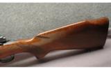 Winchester ~ 70 Pre-64 ~ .264 Win. Mag - 7 of 9