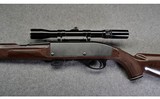 Remington ~ Nylon 77 ~ .22 LR - 11 of 13