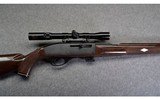 Remington ~ Nylon 77 ~ .22 LR - 4 of 13