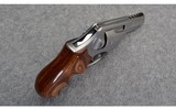 Ruger ~ SP101 Gemini Customs ~ .357 Magnum - 3 of 4