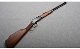 Henry~Varmint Express~.17 HMR - 1 of 10