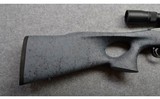 Ruger~10/22 Carbine~.22 LR - 2 of 10