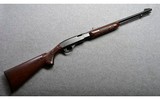 Remington~572 Fieldmaster~.22 S, L, LR - 1 of 11