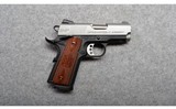 Springfield Armory~EMP~9MM