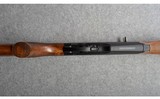 Benelli ~ R1 Walnut ~ 30-06 Sprg. - 5 of 10