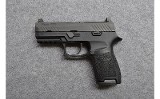 SIG Sauer~P320~9mm - 2 of 2
