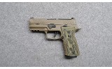 SIG Sauer~P320~9mm - 2 of 2