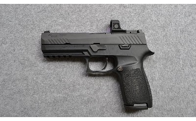 SIG Sauer~P320~9mm