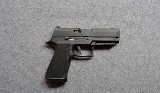 SIG Sauer~P320~10MM - 1 of 3