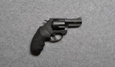 Charter Arms~Bulldog~.44 SPL.