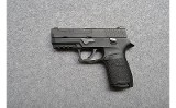 SIG Sauer~P 250~.40 S&W - 2 of 2