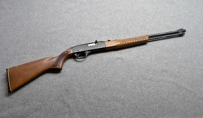 Winchester~290~.22 L./LR.
