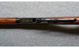 Henry~Lever~.22 LR. - 10 of 10