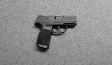 SIG Sauer~P365 X~9MM - 1 of 3