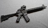 Bushmaster~XM15-E2S~.223/5.56