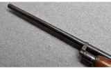Winchester~25~12 GA. - 6 of 10