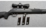 Savage~64~.22 LR. - 10 of 10