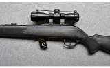 Savage~64~.22 LR. - 7 of 10