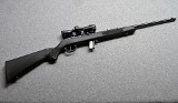 Savage~64~.22 LR. - 1 of 10