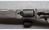 Savage~B-Mag~.17 WSM - 10 of 10