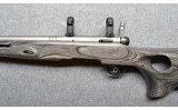 Savage~B-Mag~.17 WSM - 7 of 10