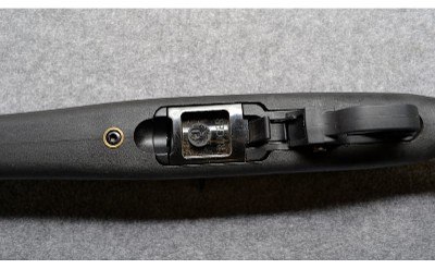 Ruger~10/22~.22 LR - Image 10 of 10