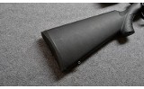 Savage~B-Mag~.17 WSM. - 2 of 10